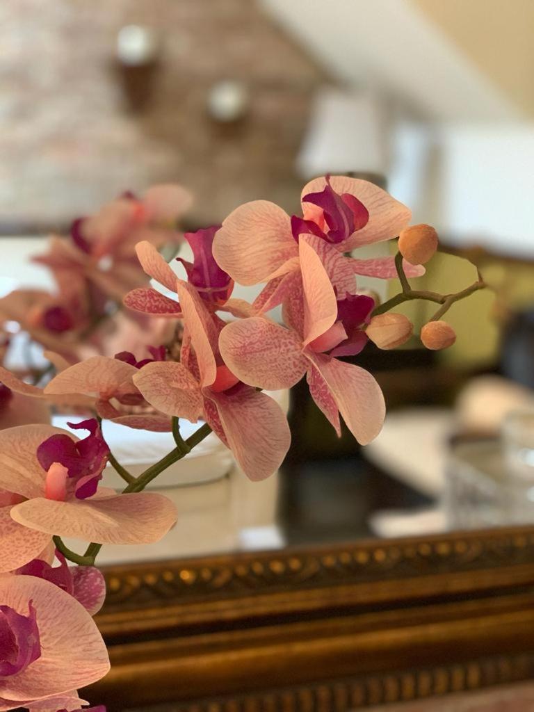 Hostal Villa Toscana جواتيمالا المظهر الخارجي الصورة