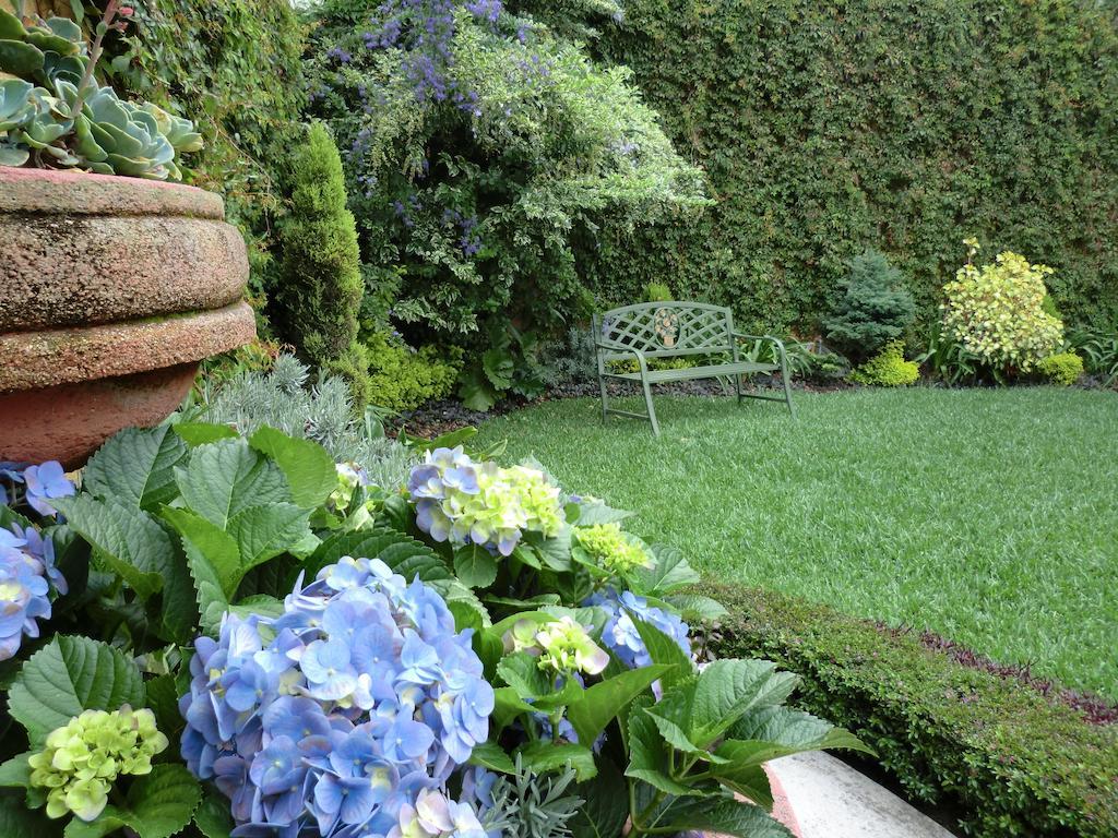 Hostal Villa Toscana جواتيمالا المظهر الخارجي الصورة